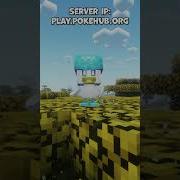 Присоединяйтесь к нашему серверу Play Pokehub Org Minecraft