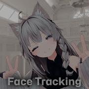 Shinano しなの Face Tracking Add On
