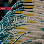 What Is A Media Access Control MAC Address Table CompTIA Network N10 008 Domain 2 20