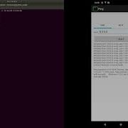 Deauth Attack Scapy