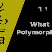 What Is Polymorphism In Java
