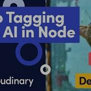 Automate Image Tagging With AI Node Js Google Vision