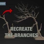 Rebuilding Tree Branches In Houdini Procedural Curve Techniques Explained