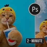 Change Background In Photoshop 2 Minute Tutorial Funny Cat