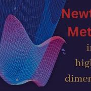 Многочлены Тейлора и метод Ньютона для многомерных функций