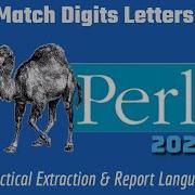 Perl Programming Regex Pattern Match Words Numbers Letters 2024