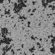 Scale Invariance In The Critical Ising Model