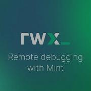 Remote Debugging With Mint CI CD