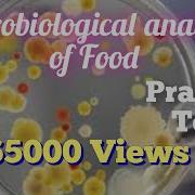 How To Make Microbiological Analysis Of Food Method Of Testing