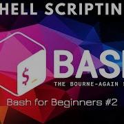 Bash For Beginners Ep2 Variables Outputs And User Input