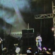 Java Rockin Land 2011 With The Cranberries