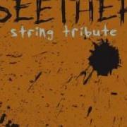 Broken Seether String Tribute