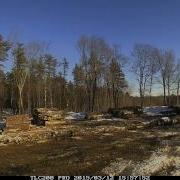 Time Lapse Log Stack