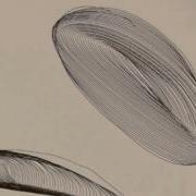 GatorGraph Drawing Machine