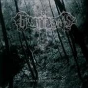 Fall Of Seraphs Flames On Seraphs Wings HD