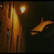 They Come Out At Night