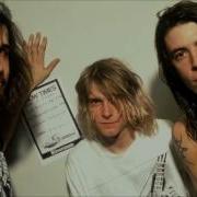 Nirvana Marigold Alt Mix