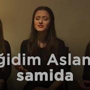Samida Yiğidim Aslanım