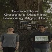 Can Two High School Students Use Machine Learning To Predict Wildfires