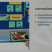 Evolution Taxonomic Tree Of Life Virtual Lab