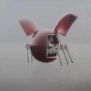 Bug 320x240 Sorenson Spark Pro 16 9