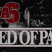 Seed Of Pain Full Set At FYA Fest 2019