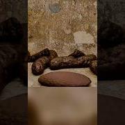 Gökdelenlerde Tuvalet Gideri Nasıl İlerliyor