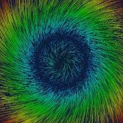 Vector Field Simulator