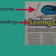 Text Features