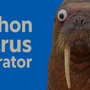 Python Walrus Operator Use With Care
