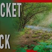 Exposure Bracket And Focus Stack At The Same Time