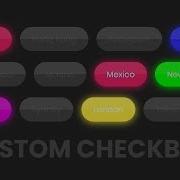 CSS Custom Checkbox List Design Html CSS