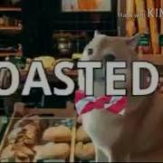 Doge S Bread Bank