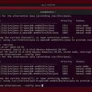 How To Install Switch Multiple Java Version On Ubuntu 20 04 LTS