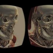Nanographics Volume Rendering