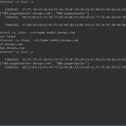 2 6 Environment Setup Regenerate Puppet Agent Certificates