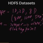 HDF5 Datasets