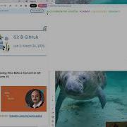 Git Rm Vs Rm Explained Git Rm F Vs Cached Working Vs Staging Made Simple