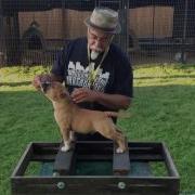 PAPA PIT BRICK TOP FIRST TIME ON THE STACKING BOX
