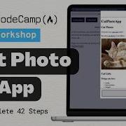 Build A Cat Photo App Step 1 To 42 FreeCodeCamp Responsive Web Design Certification V9 Guide