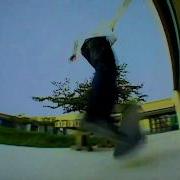 Mike Taylor In Bloom HD