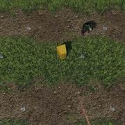 Spawn Animation Test