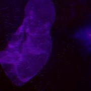 GET PREGNANT FAST FERTILITY HEALING WOMB MEDITATION FERTILITY AFFIRMATIONS SLEEP SUBLIMINAL