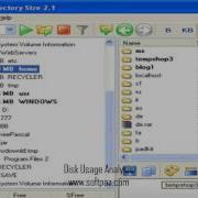 Disk Usage Analysis Windows Download