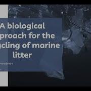 A Biological Approach For The Recycling Of Marine Litter BlueMed Hackathon Challenge 1 Team 1