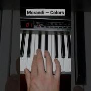 Morandi Colors