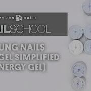 YN NAIL SCHOOL YOUNG NAILS HARD GEL SIMPLIFIED SYNERGY GEL