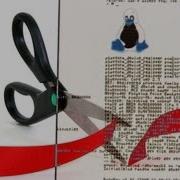 Cut Display Only Lines Containing The Delimiter Linux Shell Tutorial BASH