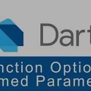Function Optional Named Parameter Dart Programming