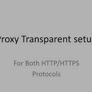 Setup Your Proxy As Transparent For Both HTTP HTTPS Protocols